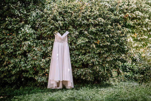 Valmiera, Latvia- July 28, 2024 - An elegant white wedding dress with lace details hangs in front of a lush green ivy backdrop, evoking a sense of bridal beauty and natural romance.