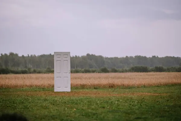 瓦尔米拉 拉脱维亚 2024年7月28日 一个独立的白色门在草地上 背景是灰色天空下的树木 暗示着一个超现实的或概念性的场景 — 图库照片