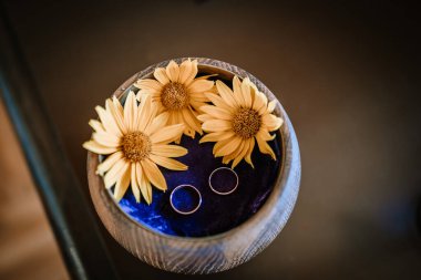 Valmiera, Letonya - 5 Ağustos 2023 - Üç sarı papatya çiçeğiyle çevrili, ahşap bir kasede mavi kadife bir yüzey üzerinde dinlenen iki alyans.