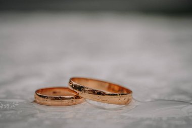 Valmiera, Letonya - 10 Ağustos 2023 - Çevresinde su damlacıkları olan iki altın alyans.