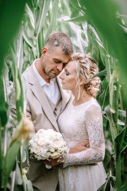 Valmiera, Latvia - August 10, 2023 - Wedding couple embracing in a cornfield, with the grooms head bowed to the bride clipart