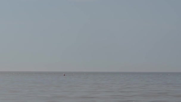 Далекий Пловец Огромном Спокойном Море Ясным Небом — стоковое видео