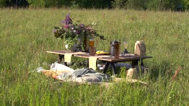 在阳光灿烂的日子里 带着木制桌子 眼镜和灯笼在草地上野餐 — 图库视频影像