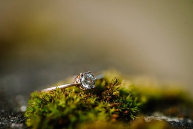 Valmiera, Letonya - 19 Ağustos 2023 - Yeşil yosun üzerindeki elmas yüzüğe yakın plan, yosunun doğal dokusunun ve mücevherin karmaşık detaylarını vurguluyor..