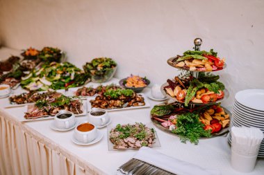 Valmiera, Letonya - 19 Ağustos 2023 - Bir etkinlikte salatalar, etler, sebzeler ve soslar dahil olmak üzere çeşitli yemeklerle dolu bir açık büfe masası.