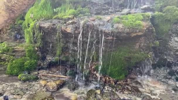 Close Small Natural Spring Cascading Moss Covered Rocky Ledge — 图库视频影像
