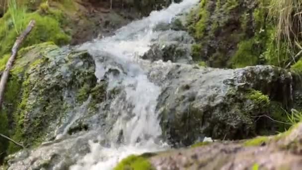 Close Small Waterfall Cascading Moss Covered Rocks Lush Green Setting — Video