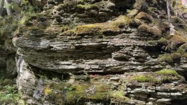 Engebeli, yosun kaplı bir kaya oluşumuna yakın çekim. Karmaşık katmanlar ve güneş ışığıyla aydınlatılmış dokular..