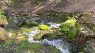 Sığ bir dere ormanlık bir alanda, yosun kaplı kayaların üzerinde ve toprak bankaları arasında, bir ışık gölgesinin altında akar..