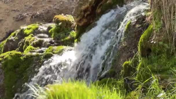 Vibrant Small Waterfall Cascades Mossy Rocks Lush Forest Setting Illuminated — Video
