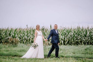 Valmiera, Letonya - 25 Ağustos 2023 - Gelin ve damat arka planda bir mısır tarlasıyla çimenli bir alanda yürürken el ele tutuşuyorlar..