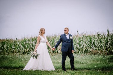 Valmiera, Letonya - 25 Ağustos 2023 - Gelin ve damat arka planda bir mısır tarlasıyla çimenli bir alanda yürürken el ele tutuşuyorlar..