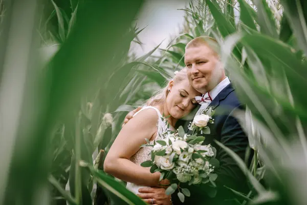 Valmiera Latvia August 2023 Bride Groom Embrace Lovingly Surrounded Lush Fotografia Stock