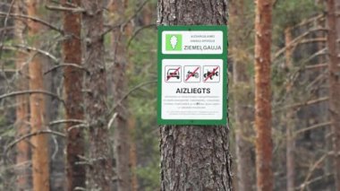 Valka, Letonya - 13 Mayıs 2024 - Korunan bir arazide bir ağaca imza atın. Orman arka planında araç, motosiklet ve ATVler yasaktır..