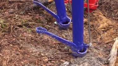 Bir yeniden ağaçlandırma projesi sırasında, doğal orman enkazı ile çevrili toprağa yerleştirilmiş iki mavi ağaç dikim aletinin yakın çekimi..