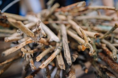 Dobele, Letonya - 7 Haziran 2024 - İç içe geçmiş, sığ bir alan derinliğine sahip, dokuları ve doğal kusurları vurgulayan ahşap çubukların yakın çekimi.