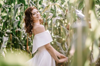 Valmiera, Letonya - 9 Eylül 2023 - Yeşil bir mısır tarlasında dikilirken omuzları açık bir elbise içinde bir gelin gülümsüyor. Doğal ortamda neşe ve zarafet yayar..