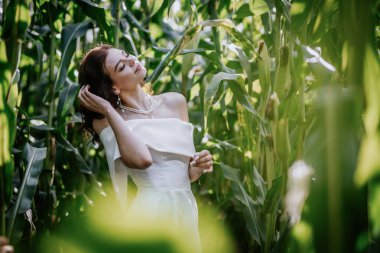 Valmiera, Letonya - 9 Eylül 2023 - Bir gelin omuzsuz bir elbise içinde zarif bir şekilde mısır tarlasında poz verir, saçlarını düzeltir ve gür yeşil yaprakların arasında zarafetini sergiler..