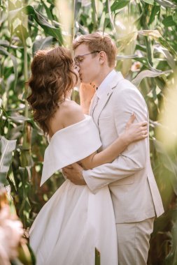 Valmiera, Letonya - 9 Eylül 2023 - Bir gelin ve damat, uzun bitkilerle çevrili yemyeşil bir mısır tarlasında romantik bir öpücüğü paylaşıyor. Gelin omuzsuz bir elbise giyer, damat ise açık renk bir takım giyer..