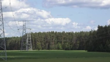 Yüksek voltajlı elektrik hatları ve kuleler bulutlu bir gökyüzünün altında orman zeminine sahip yeşil bir alan boyunca uzanıyor. Kırsal alan ve enerji altyapısı.