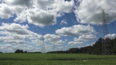 Yüksek voltajlı elektrik hatları ve kuleler bulutlu bir gökyüzünün altında orman zeminine sahip yeşil bir alan boyunca uzanıyor. Kırsal alan ve enerji altyapısı.