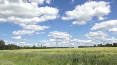 Yüksek voltajlı elektrik hatları ve kuleler bulutlu bir gökyüzünün altında orman zeminine sahip yeşil bir alan boyunca uzanıyor. Kırsal alan ve enerji altyapısı.