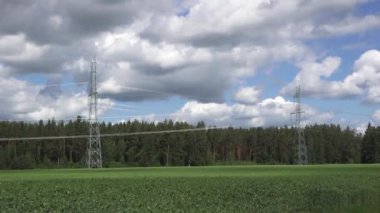 Yüksek voltajlı elektrik hatları ve kuleler bulutlu bir gökyüzünün altında orman zeminine sahip yeşil bir alan boyunca uzanıyor. Kırsal alan ve enerji altyapısı.