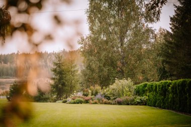 Blome, Letonya - 11 Eylül 2023 - Ağaçlar ve çalılarla çevrili çeşitli bitki ve çiçeklerle dolu yemyeşil bahçe, yumuşak, doğal bir ışık altında.