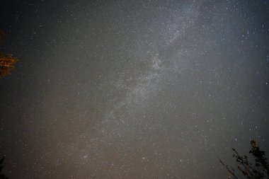 Samanyolu Galaksisi 'nin belirgin bir şekilde görülebildiği yıldızlarla dolu bir gece gökyüzünün siyah beyaz fotoğrafı. Boşluğu kopyala.