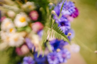 Valmiera, Letonya - 15 Eylül 2023 - Yeşil yapraklı, mavi ve mor kır çiçeklerinin yer aldığı renkli bir buketin yumuşak odaklı yakın çekimi.