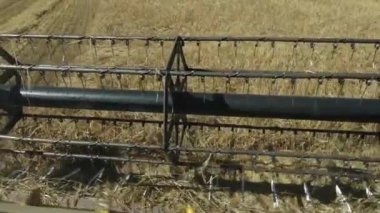 Valmiera, Letonya - 9 Temmuz 2024 - Bir tarlada buğday, makineler ve buğdaylar açık bir şekilde görülebilen hasat biçme ve toplama makinesine yakın çekim. Boşluğu kopyala.