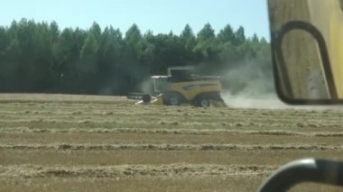 Valmiera, Letonya - 9 Temmuz 2024 - Sarı buğday tarlasında çalışan biçerdöveri birleştirerek bir ağaç zeminine çarpıyor. Uzayı kopyala Video.