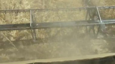 Valmiera, Letonya - 9 Temmuz 2024 - Bir tarlada buğday, makineler ve buğdaylar açık bir şekilde görülebilen hasat biçme ve toplama makinesine yakın çekim. Boşluğu kopyala.