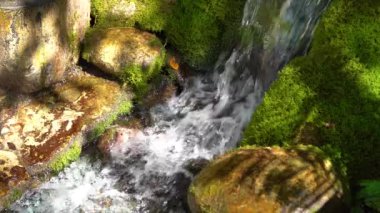 Cesis, Letonya - 12 Temmuz 2024 - Bir orman deresinde yosun kaplı kayaların üzerinde çağlayan suyun yakın çekimi, yavaş çekimde çekilmiş, doğal dokuları vurguluyor.