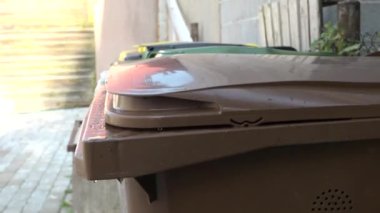 Birisi organik atık torbasını dışarıdaki kahverengi geri dönüşüm kutusuna atar ve arka planda diğer kutular sıralanır..