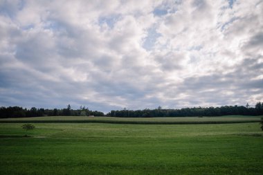 Bavyera, Almanya - 15 Eylül 2024 - Bulutlu bir gökyüzünün altındaki uzak ağaçlarla dolu geniş, dingin yeşil bir alan, bir çok açık alanda huzurlu bir kırsal alan sunuyor..
