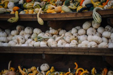 A roadside stand in Bavaria showcasing a variety of small white pumpkins and colorful gourds during the autumn season. clipart