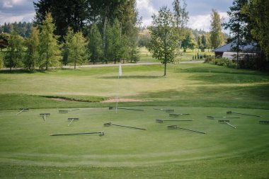 Valmiera, Latvia - September 21, 2024 - Multiple rakes scattered on a golf course green near the flag, likely left by greenkeepers. Trees and distant greenery surround the scene. clipart