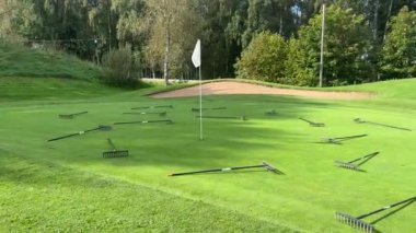 Golf sahasına saçılmış birden fazla tırmık, bir bayrağın yanında yeşil, muhtemelen bakım işi bittikten sonra yeşillikler tarafından bırakılmış..