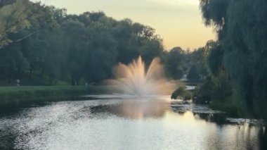 Valmiera, Letonya - 20 Ağustos 2024 - Huzurlu bir park çeşmesi, ağaçlarla çevrili sakin bir gölete su püskürtür..