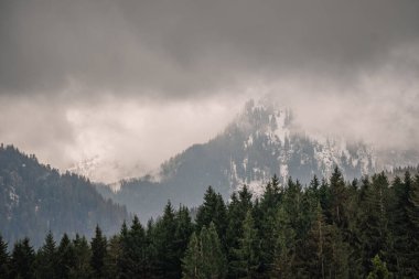 Bavyera, Almanya - 15 Eylül 2024 - Karla kaplı Bavyera dağları kısmen sisle kaplı, ön planda yoğun çam ormanları ve yukarıda bulutlu gökyüzü.