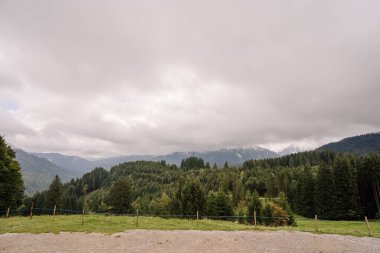 Bavyera, Almanya - 15 Eylül 2024 - Bavyera 'da yemyeşil bir orman manzarası uzak dağlar kısmen bulutlarla kaplı ve bulutlu gökyüzü.