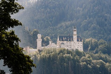 Bavyera, Almanya - 15 Eylül 2024 - Neuschwanstein Şatosu, Bavyera 'da yemyeşil ve dağlarla çevrili bir orman tepesinin tepesinde yer alır..