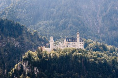 Bavyera, Almanya - 15 Eylül 2024 - Neuschwanstein Kalesi Bavyera Alpleri 'nde, sık orman ve dağlarla çevrili, bulutlu bir gökyüzünün altında, peri masalı atmosferi yaratıyor..