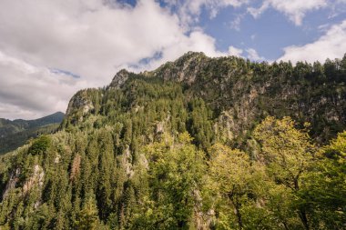Bavyera 'da bulutlu bir gökyüzünün altındaki yemyeşil orman dağlarının manzarası doğal manzaranın güzelliğini gözler önüne seriyor..