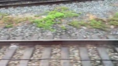 Almanya 'nın Münih yakınlarındaki demiryolu rayları ve çakıl manzarası, aşırı büyümüş çimenler ve raylara paralel uzanan mavi bir boru hattı.