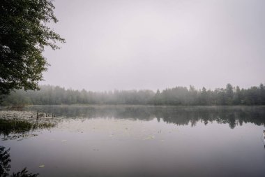 Sakin, sisli bir göl ağaçlarla çevrili, durgun sular sisi ve ormanı yansıtıyor, sakin ve huzurlu bir doğal manzara yaratıyor..