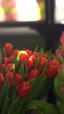 Yumuşak güneş ışığıyla yıkanmış canlı turuncu lalelerin yakın çekimi canlı yapraklarını ve taze yeşil yapraklarını aydınlatıyor. Boşluğu kopyala.