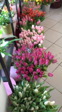  Renklere göre düzenlenmiş bir çiçekçide pembe, kırmızı, sarı ve beyaz renkli lale demetleri sergileniyor. Boşluğu kopyala.
