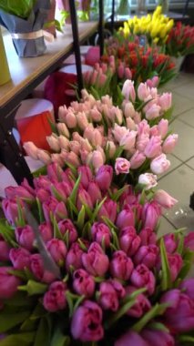 Bir çiçekçide raflara dizilmiş pembe, mor, sarı ve turuncu lale buketleri canlı ve renkli bir manzara yaratıyor. Boşluğu kopyala.